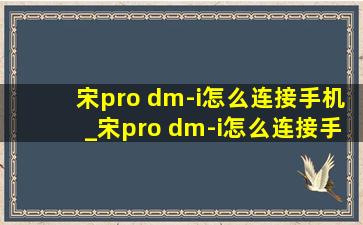 宋pro dm-i怎么连接手机_宋pro dm-i怎么连接手机蓝牙